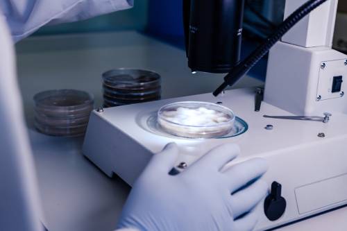 Microcolpohisteroscopia